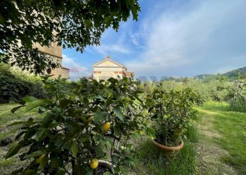 Giardino - Villa VIA NUOVA COLLE DI COMPITO
 
224, Capannori - photo 78