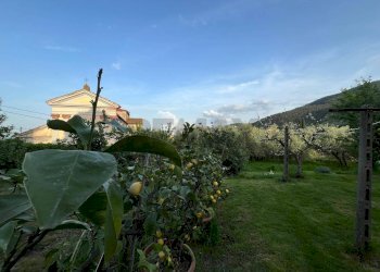 Giardino - Villa VIA NUOVA COLLE DI COMPITO
 
224, Capannori - photo 85