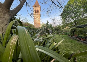 Giardino - Villa VIA NUOVA COLLE DI COMPITO
 
224, Capannori - photo 90