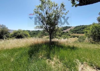 Giardino - Casa semi indipendente Contrada Piana di Sciarra
 
snc, Pietracupa - foto 23
