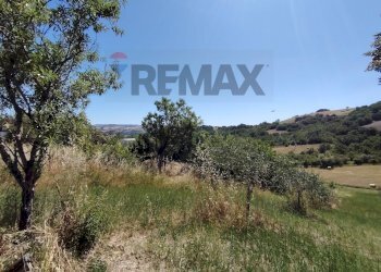 Vista delle montagne - Casa semi indipendente Contrada Piana di Sciarra
 
snc, Pietracupa - foto 24