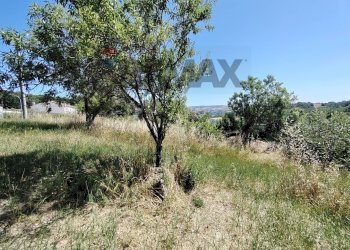 Giardino - Casa semi indipendente Contrada Piana di Sciarra
 
snc, Pietracupa - foto 25