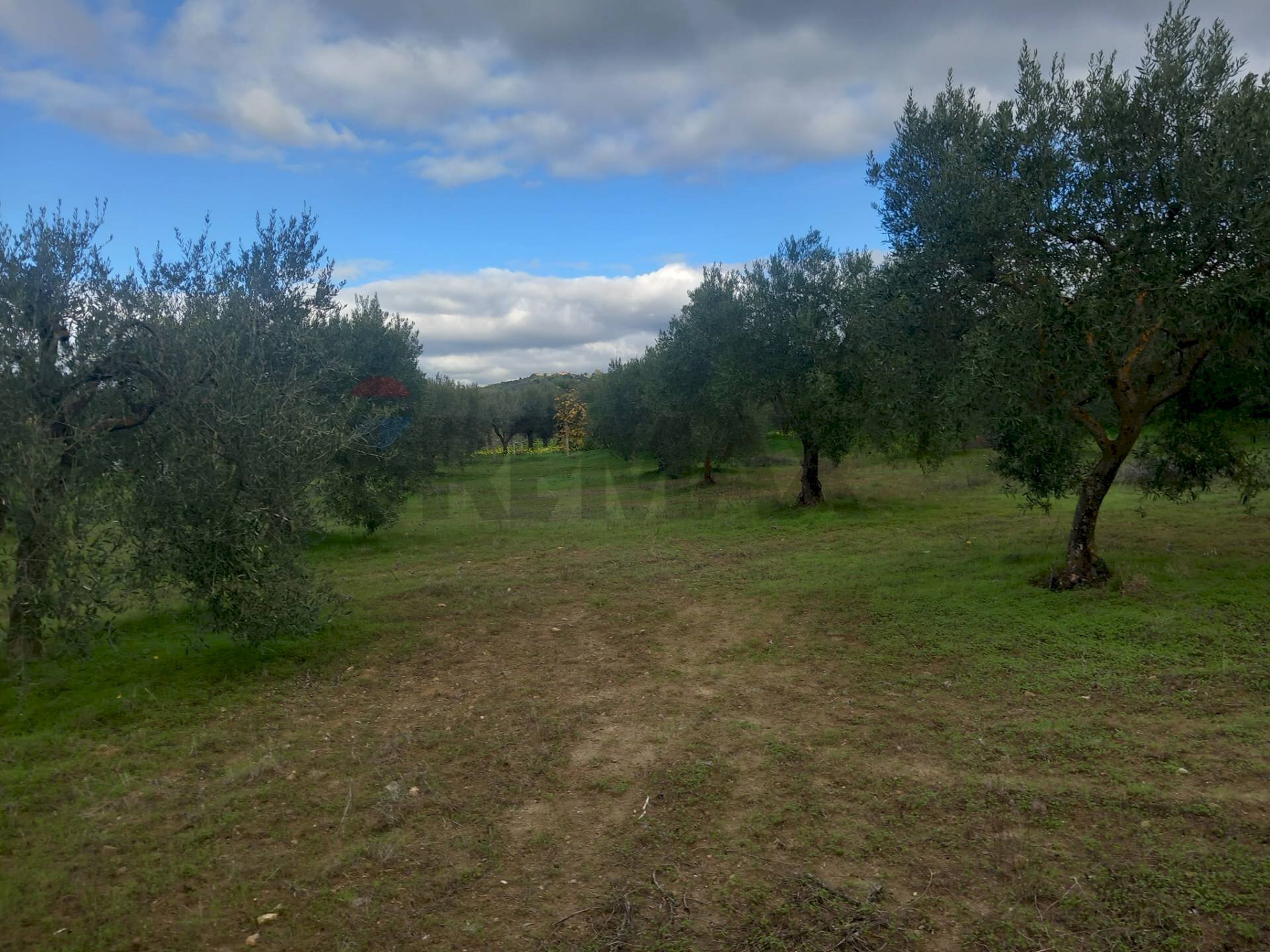 Giardino - Terreno agricolo str. nuova formazione
 
snc, Dolianova - foto 1