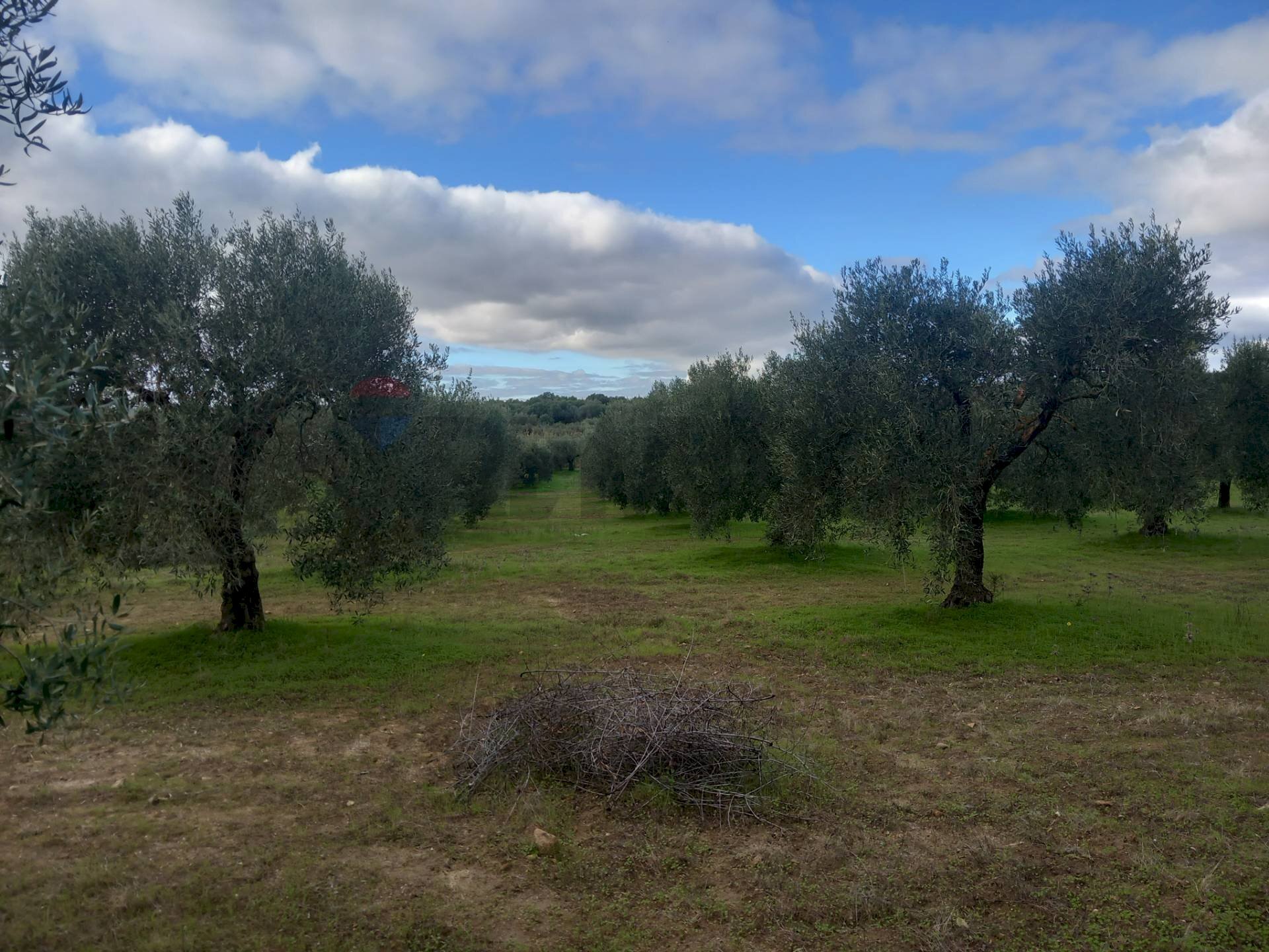 Giardino - Terreno agricolo str. nuova formazione
snc, Dolianova - foto 2