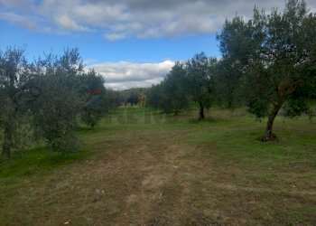 Giardino - Terreno agricolo str. nuova formazione
snc, Dolianova - foto 1