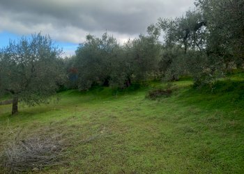 Giardino - Terreno agricolo str. nuova formazione
snc, Dolianova - foto 4