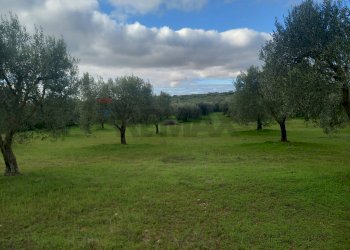 Giardino - Terreno agricolo str. nuova formazione
snc, Dolianova - foto 13
