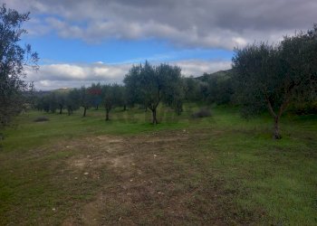 Giardino - Terreno agricolo str. nuova formazione
snc, Dolianova - foto 16