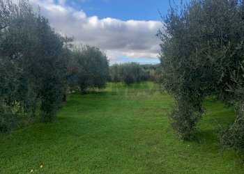 Giardino - Terreno agricolo str. nuova formazione
snc, Dolianova - foto 25