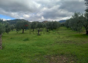 Vista delle montagne - Terreno agricolo str. nuova formazione
snc, Dolianova - foto 35