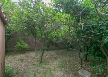 Giardino - Villa via San Giacomo, 6, Nettuno - photo 34