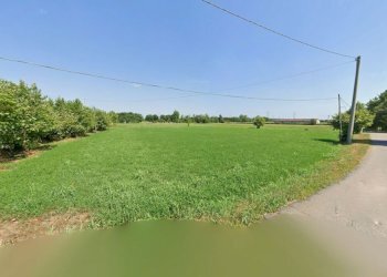 Foto 3 - Agricultural land trivellino, Lonato del Garda - photo 3