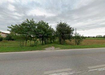 Foto 5 - Agricultural land trivellino, Lonato del Garda - photo 5