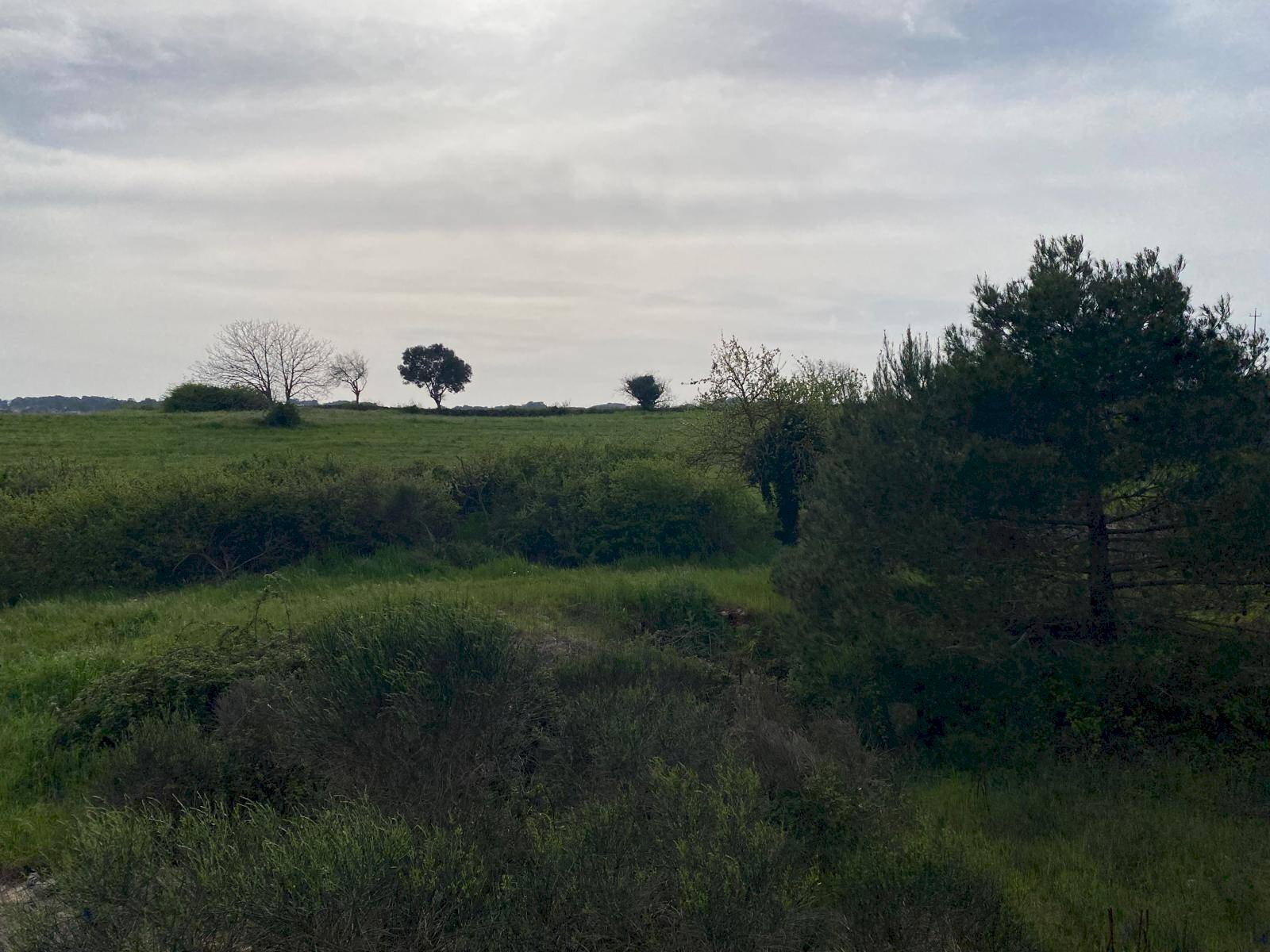Foto 1 - Terreno agricolo Strada Porcile Palesi
 
snc, Martina Franca - foto 1
