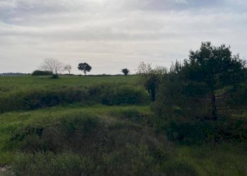 Foto 1 - Terreno agricolo Strada Porcile Palesi
snc, Martina Franca - foto 1
