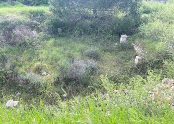 Foto 2 - Terreno agricolo Strada Porcile Palesi
snc, Martina Franca - foto 2