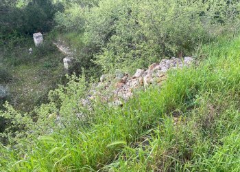 Foto 4 - Terreno agricolo Strada Porcile Palesi
snc, Martina Franca - foto 4