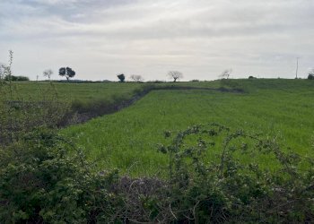 Foto 6 - Terreno agricolo Strada Porcile Palesi
snc, Martina Franca - foto 6