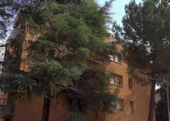 Facciata - Trilocale via Giacinta Pezzana, Bologna (zona San Donato) - foto 8