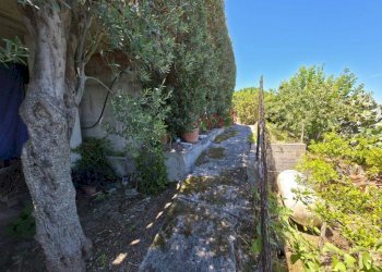 Giardino - Villa contrada Priscopio, Zambrone - foto 43