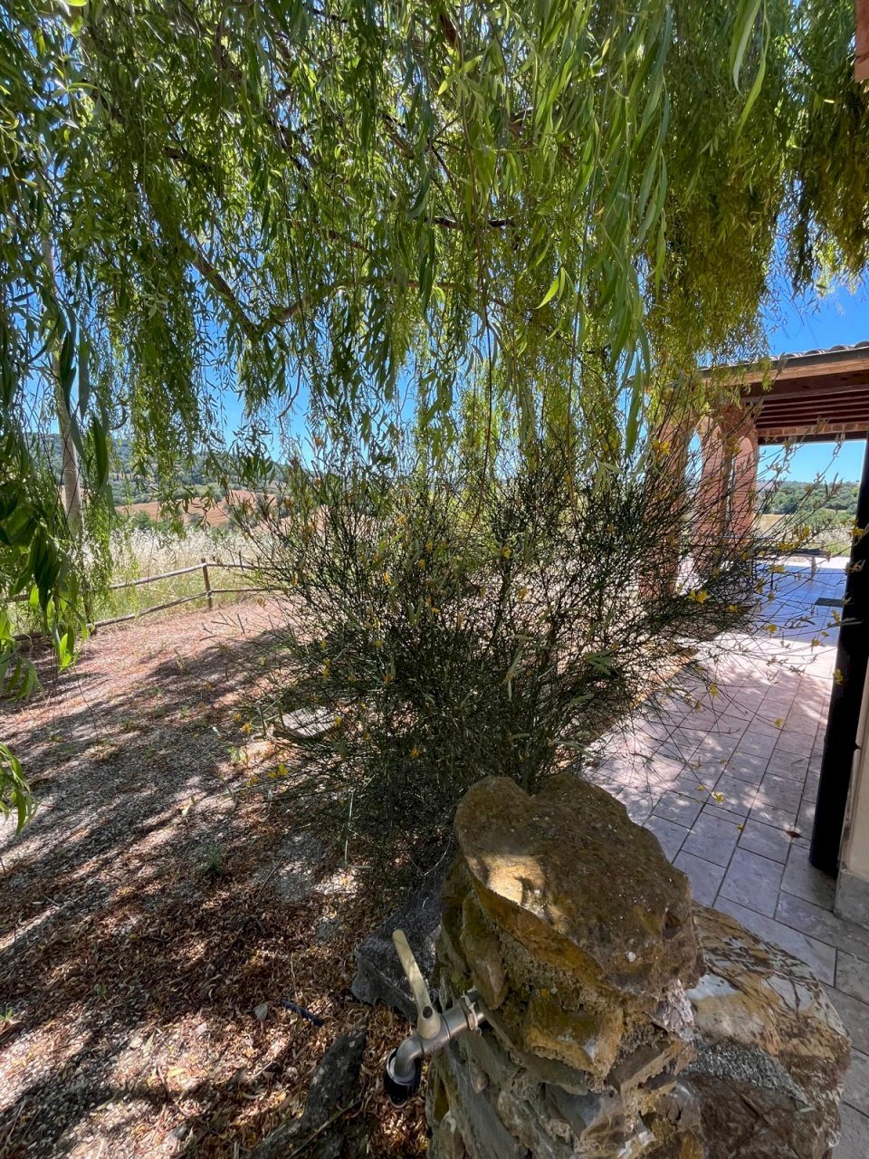 Independent house Manciano - photo 3