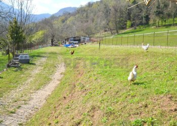 Retecasa_Valdagno - Villa Valdagno - photo 11