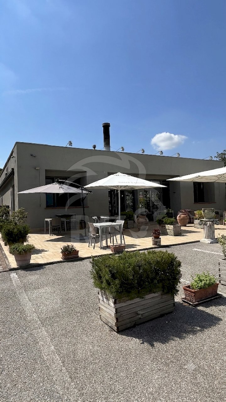 Ristorante Via Ravenna 250, Ferrara - foto 1