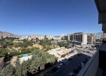 IMG_3826.jpeg - Apartment Via Uditore, Palermo - photo 6