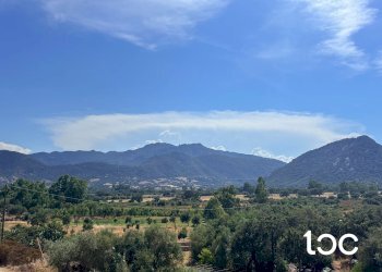 Trilocale San Teodoro - foto 4