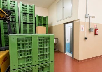 Azienda agricola Caltanissetta, Caltanissetta - foto 12