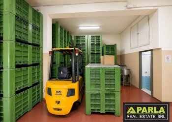 Azienda agricola Caltanissetta, Caltanissetta - foto 19