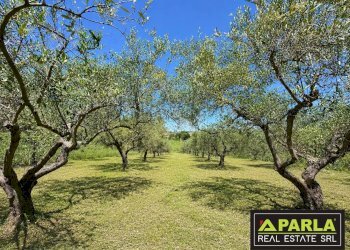 Azienda agricola Caltanissetta, Caltanissetta - foto 21