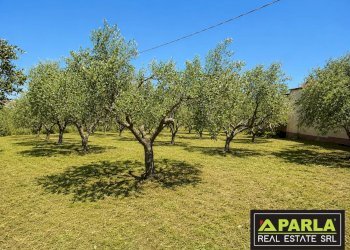 Azienda agricola Caltanissetta, Caltanissetta - foto 27