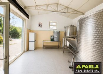 Azienda agricola Caltanissetta, Caltanissetta - foto 34
