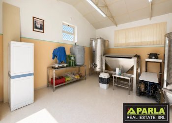 Azienda agricola Caltanissetta, Caltanissetta - foto 35