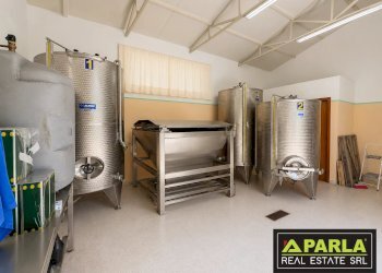 Azienda agricola Caltanissetta, Caltanissetta - foto 36