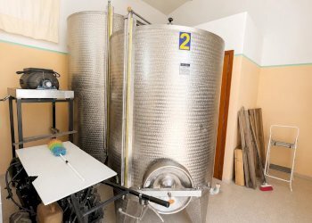 Azienda agricola Caltanissetta, Caltanissetta - foto 37