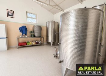 Azienda agricola Caltanissetta, Caltanissetta - foto 38