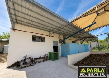 Azienda agricola Caltanissetta, Caltanissetta - foto 49