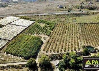 Villa Canicattì, Canicattì - photo 48