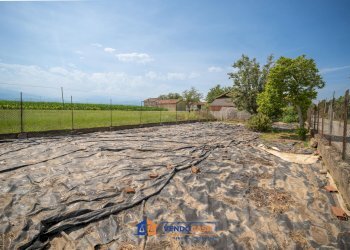 Casa indipendente Villafranca Piemonte - foto 22
