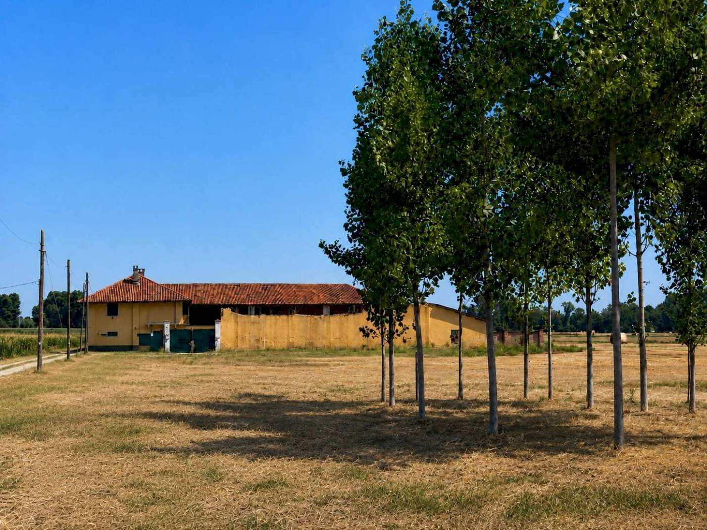 Rustico Vinovo - foto 3