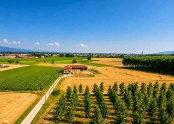Rustico Vinovo - foto 1