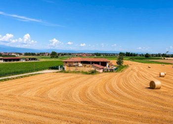Rustico Vinovo - foto 2