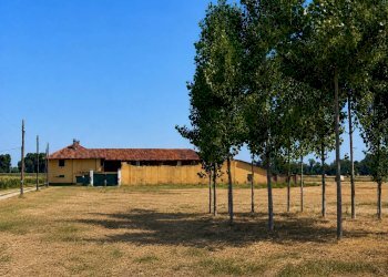 Rustico Vinovo - foto 3