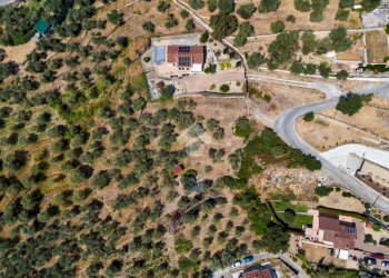 Terreno agricolo Strada Ronchi Brighei, Imperia - foto 3