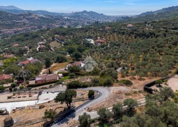 Terreno agricolo Strada Ronchi Brighei, Imperia - foto 4
