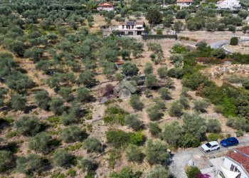 Terreno agricolo Strada Ronchi Brighei, Imperia - foto 5