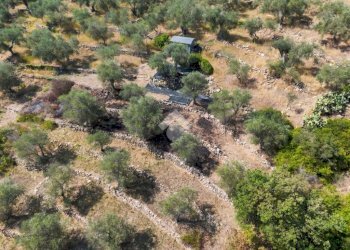 Terreno agricolo Strada Ronchi Brighei, Imperia - foto 6