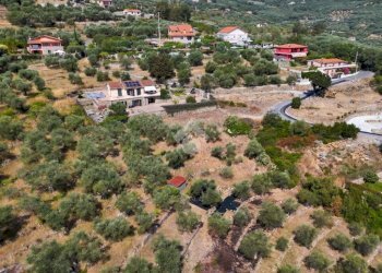 Terreno agricolo Strada Ronchi Brighei, Imperia - foto 7